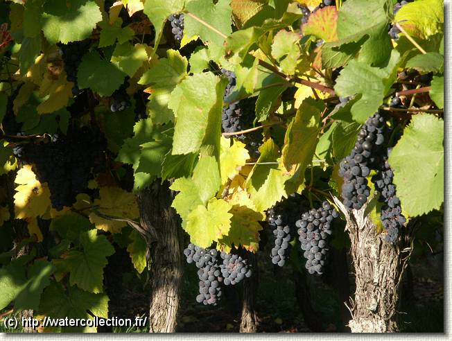 Diapositive suivante